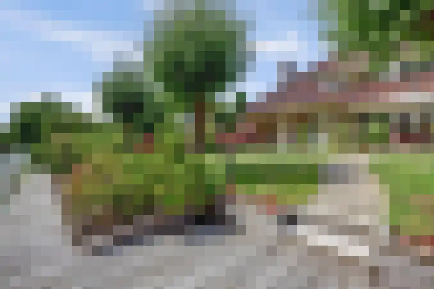 Winterkoning 36 Zuid-Scharwoude thumbnail 4