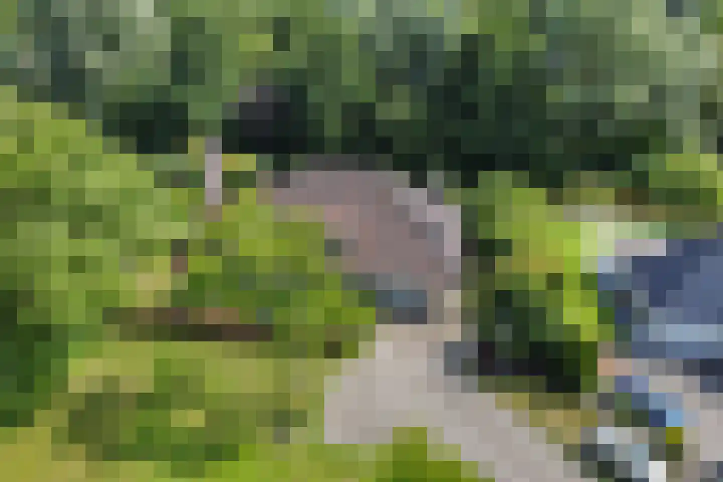 Winterkoning 36 Zuid-Scharwoude thumbnail 5