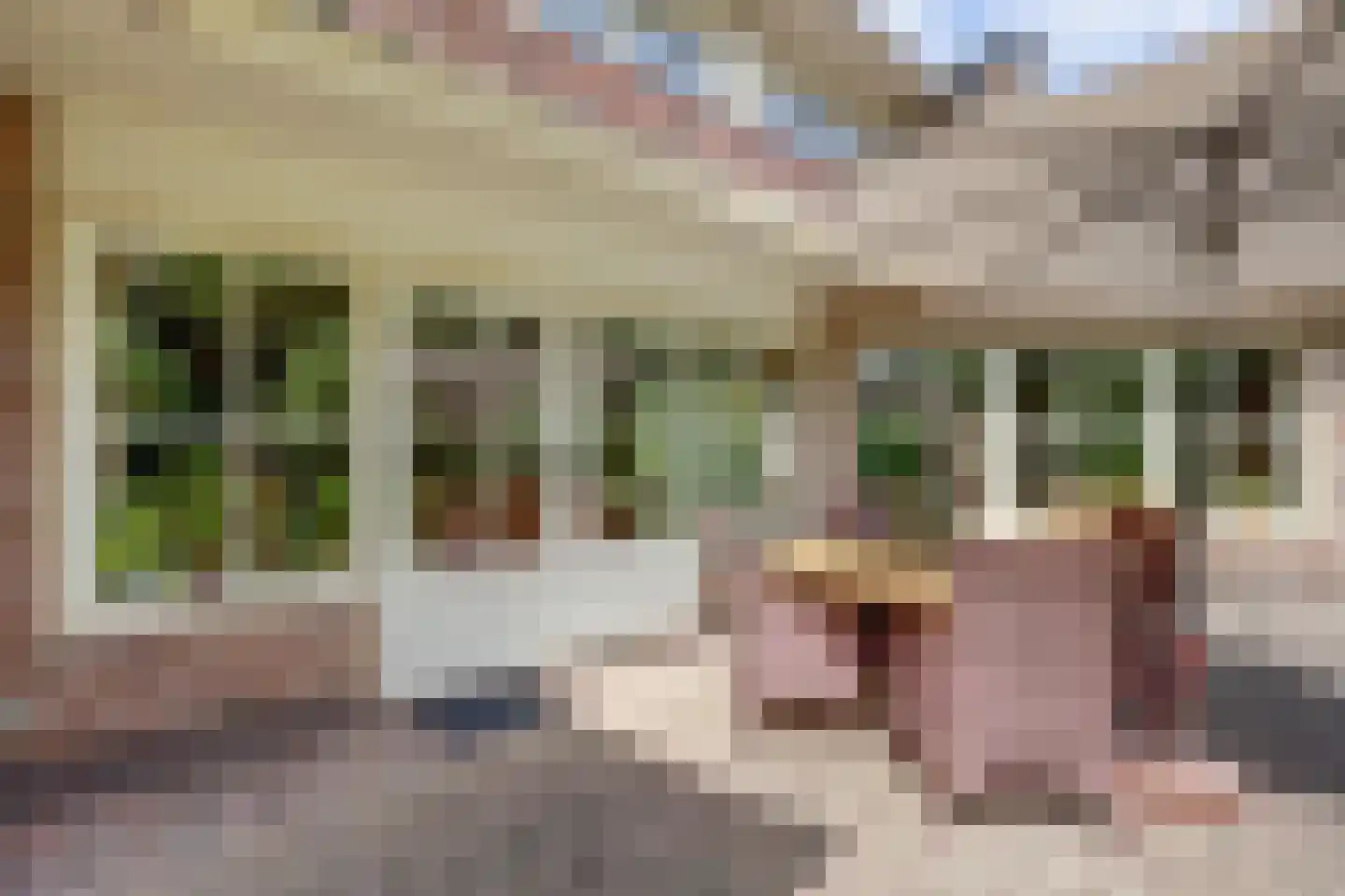 Winterkoning 36 Zuid-Scharwoude thumbnail 59