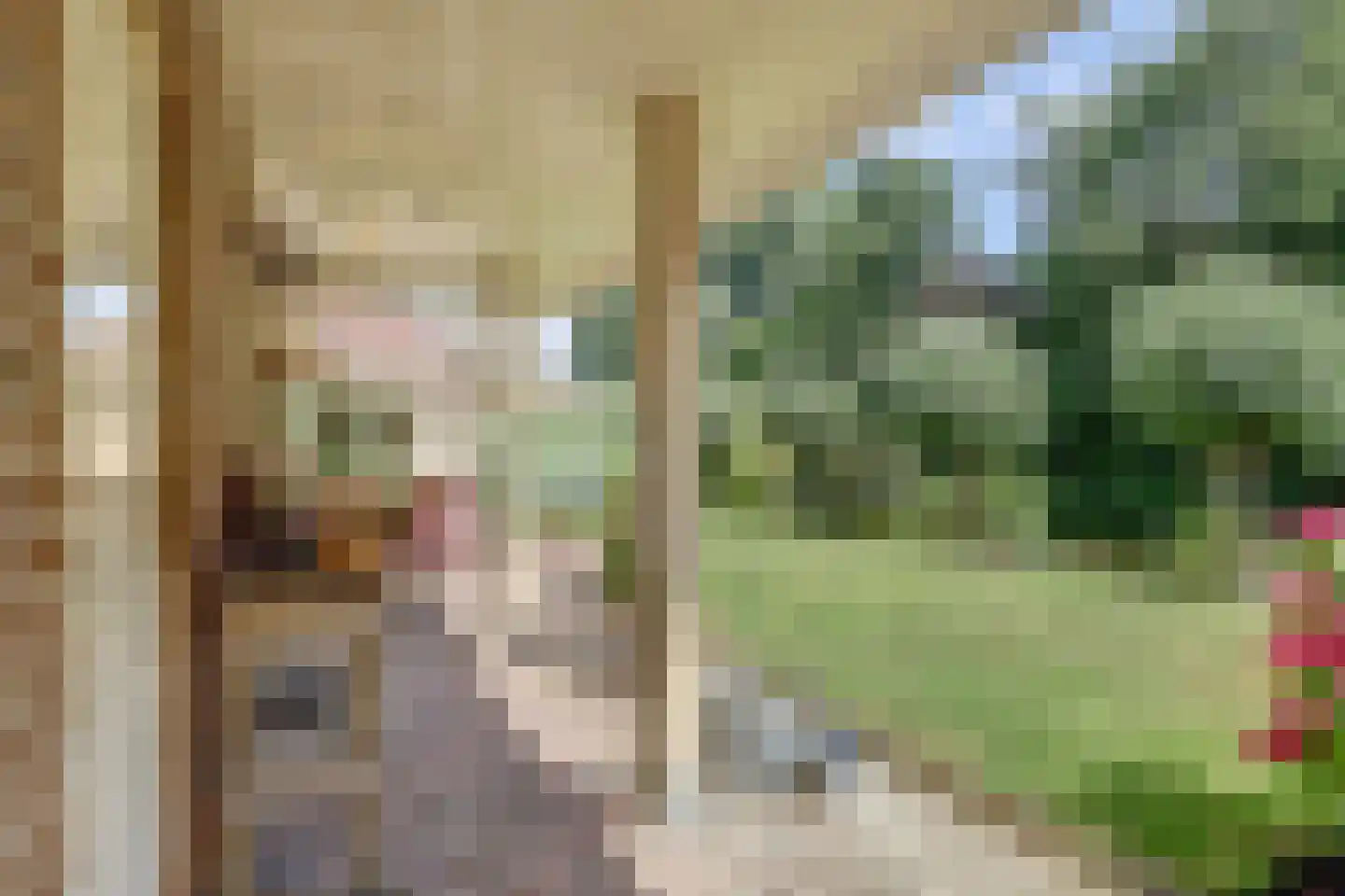 Winterkoning 36 Zuid-Scharwoude thumbnail 60