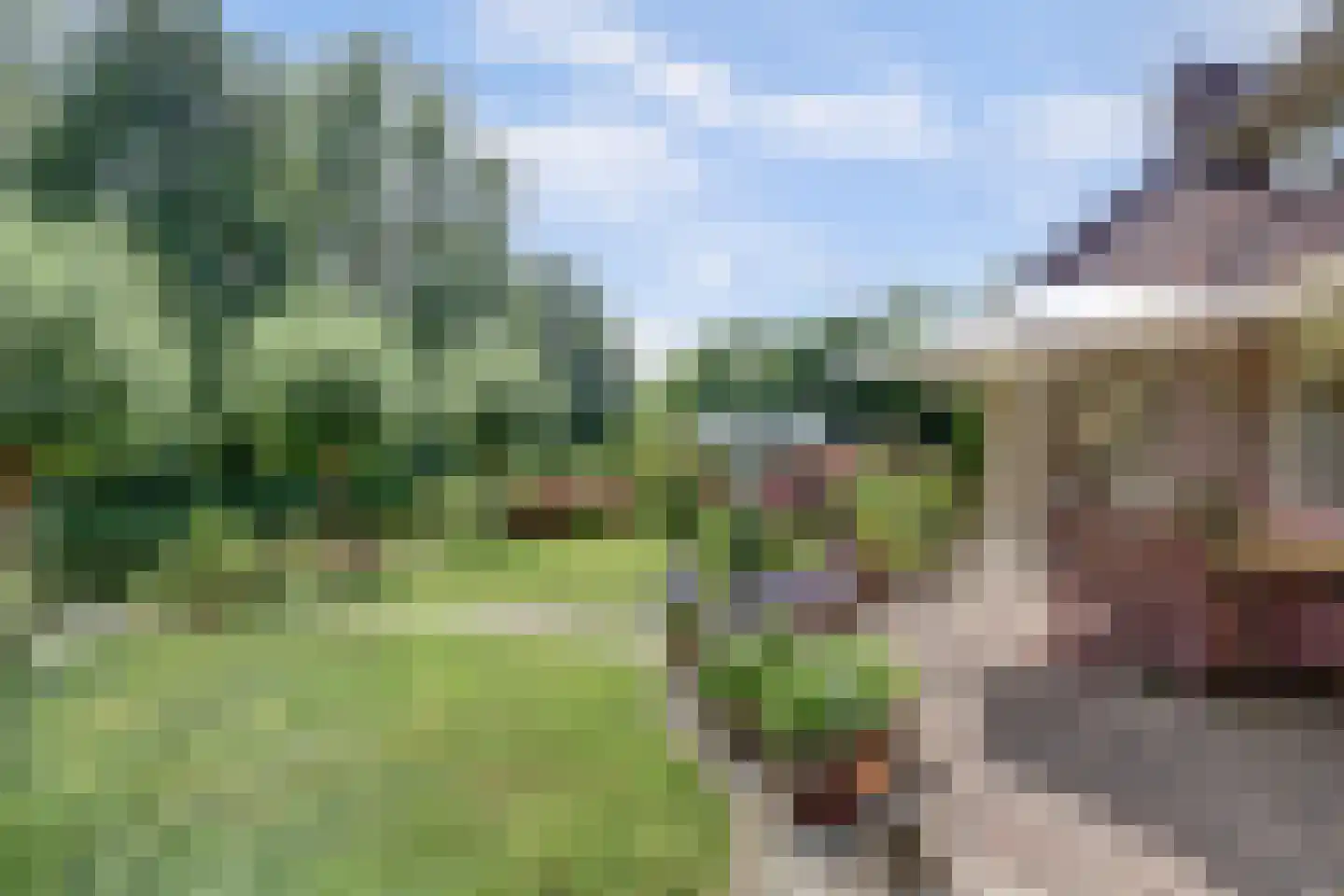 Winterkoning 36 Zuid-Scharwoude thumbnail 61