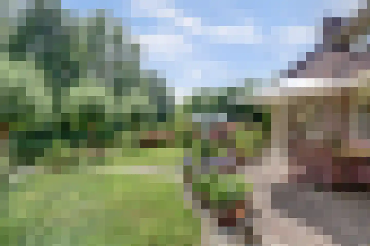 Winterkoning 36 Zuid-Scharwoude thumbnail 61