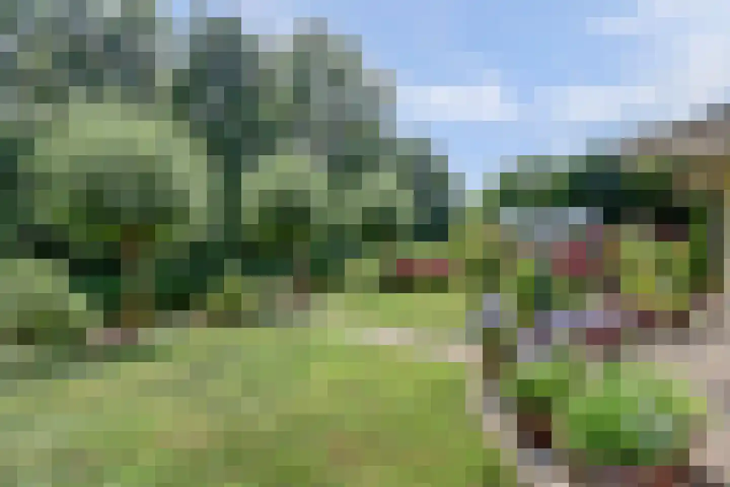 Winterkoning 36 Zuid-Scharwoude thumbnail 62