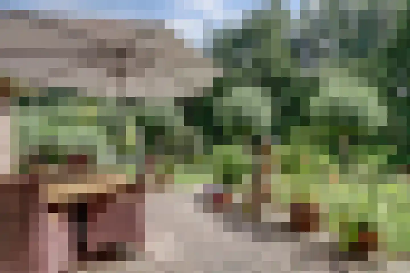 Winterkoning 36 Zuid-Scharwoude thumbnail 63