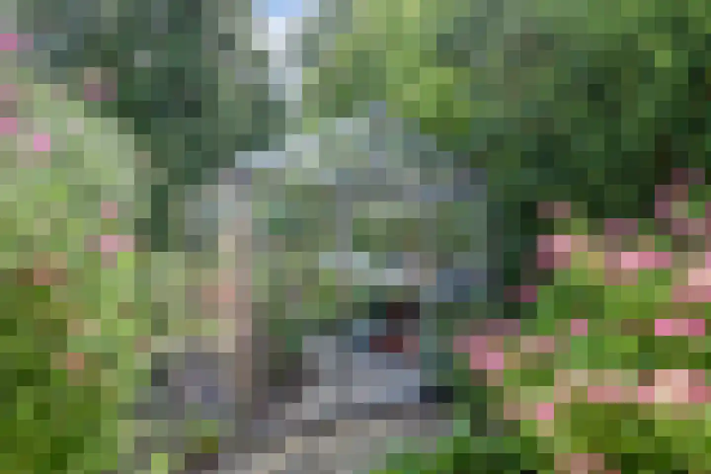 Winterkoning 36 Zuid-Scharwoude thumbnail 66