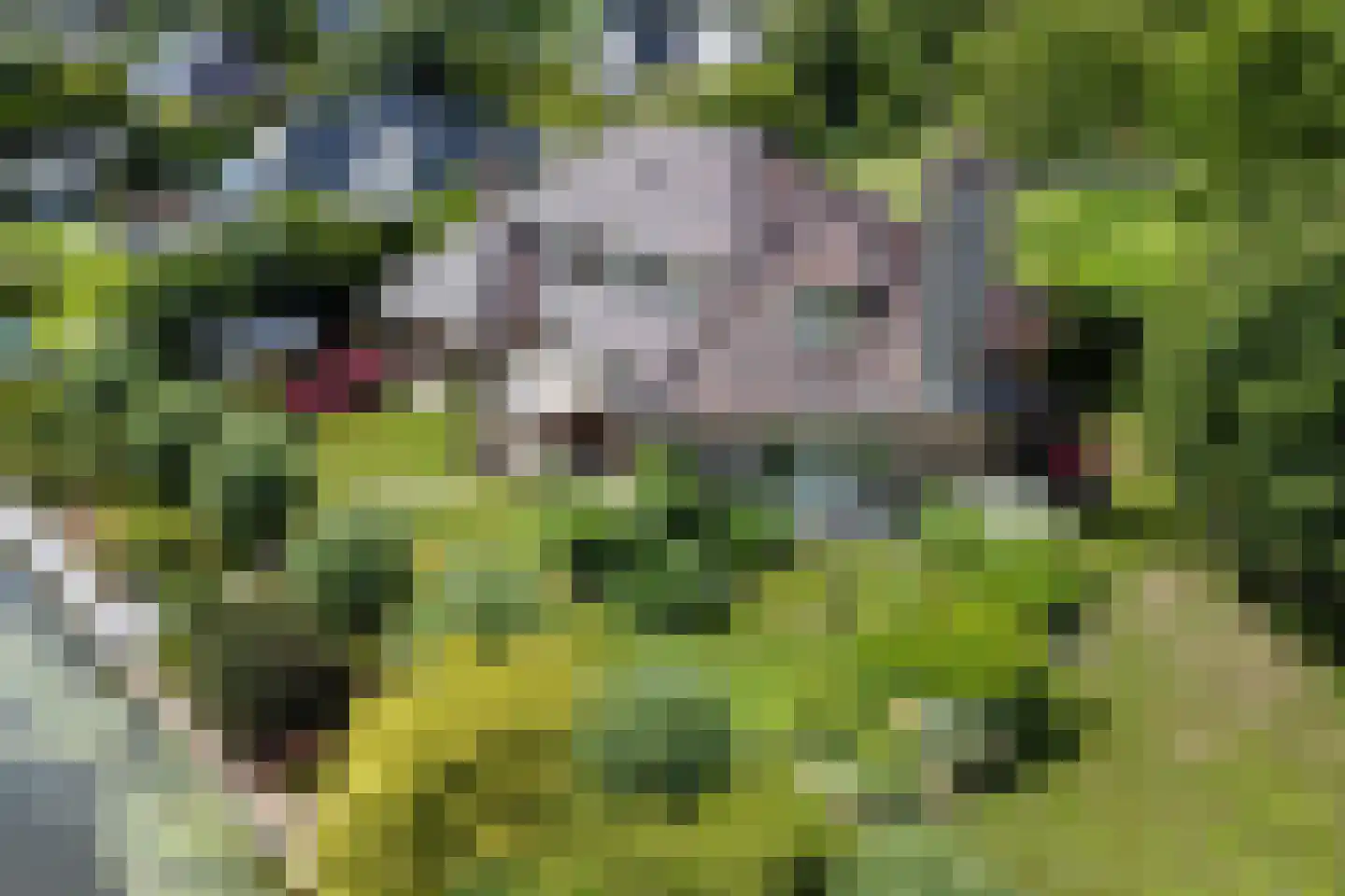 Winterkoning 36 Zuid-Scharwoude thumbnail 68