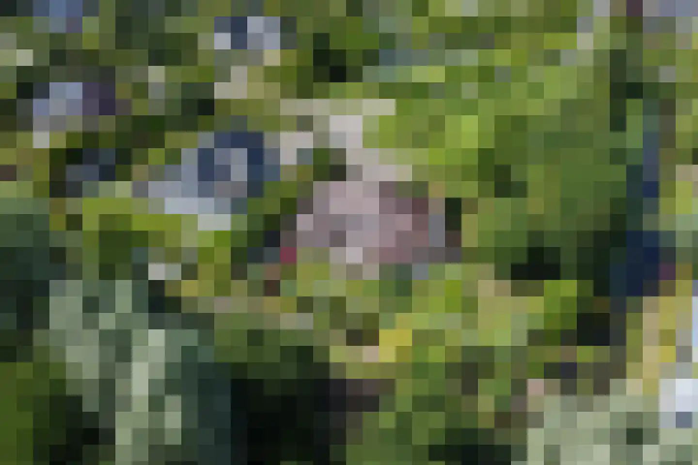 Winterkoning 36 Zuid-Scharwoude thumbnail 69