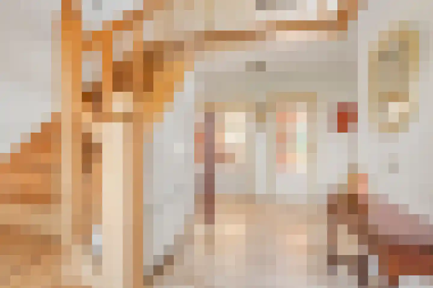 Winterkoning 36 Zuid-Scharwoude thumbnail 8