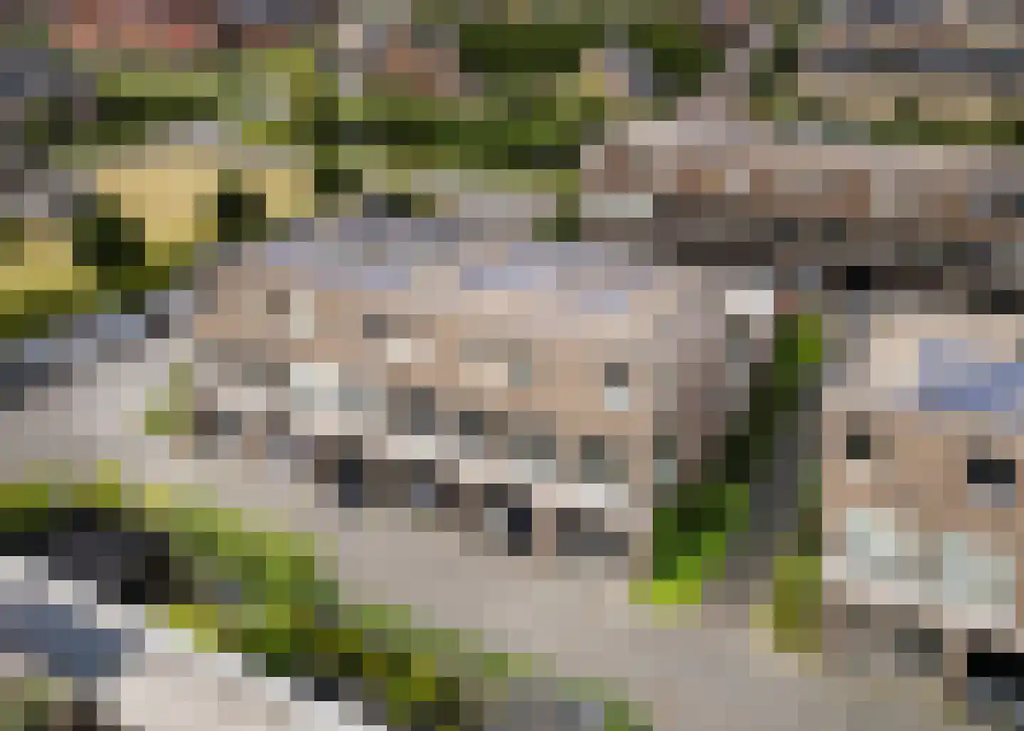 Winterkoning erf 42 Heerhugowaard thumbnail 33