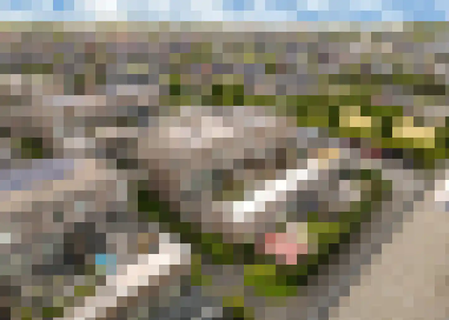 Winterkoning erf 42 Heerhugowaard thumbnail 34
