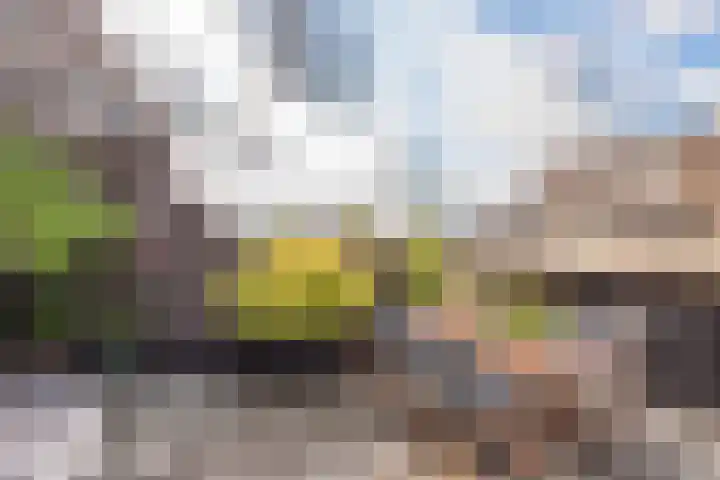Winterkoning erf 42 Heerhugowaard thumbnail 34
