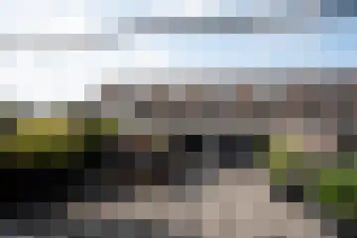 Winterkoning erf 42 Heerhugowaard thumbnail 37