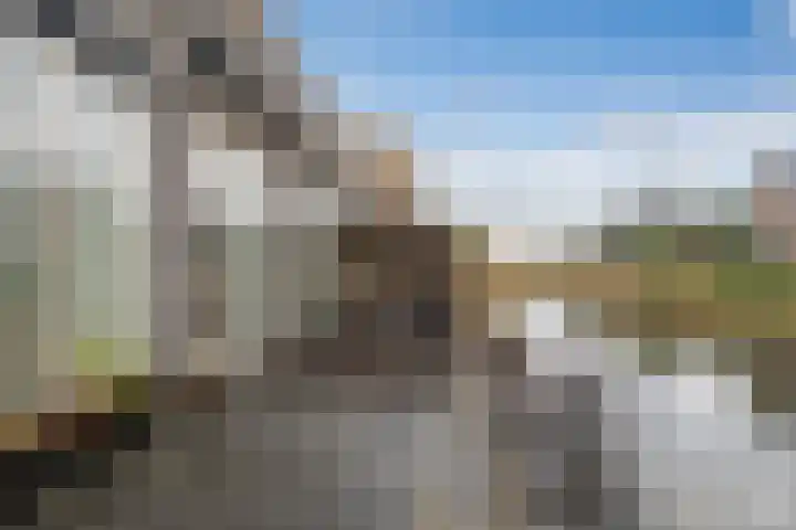 Winterkoning erf 64 Heerhugowaard thumbnail 30