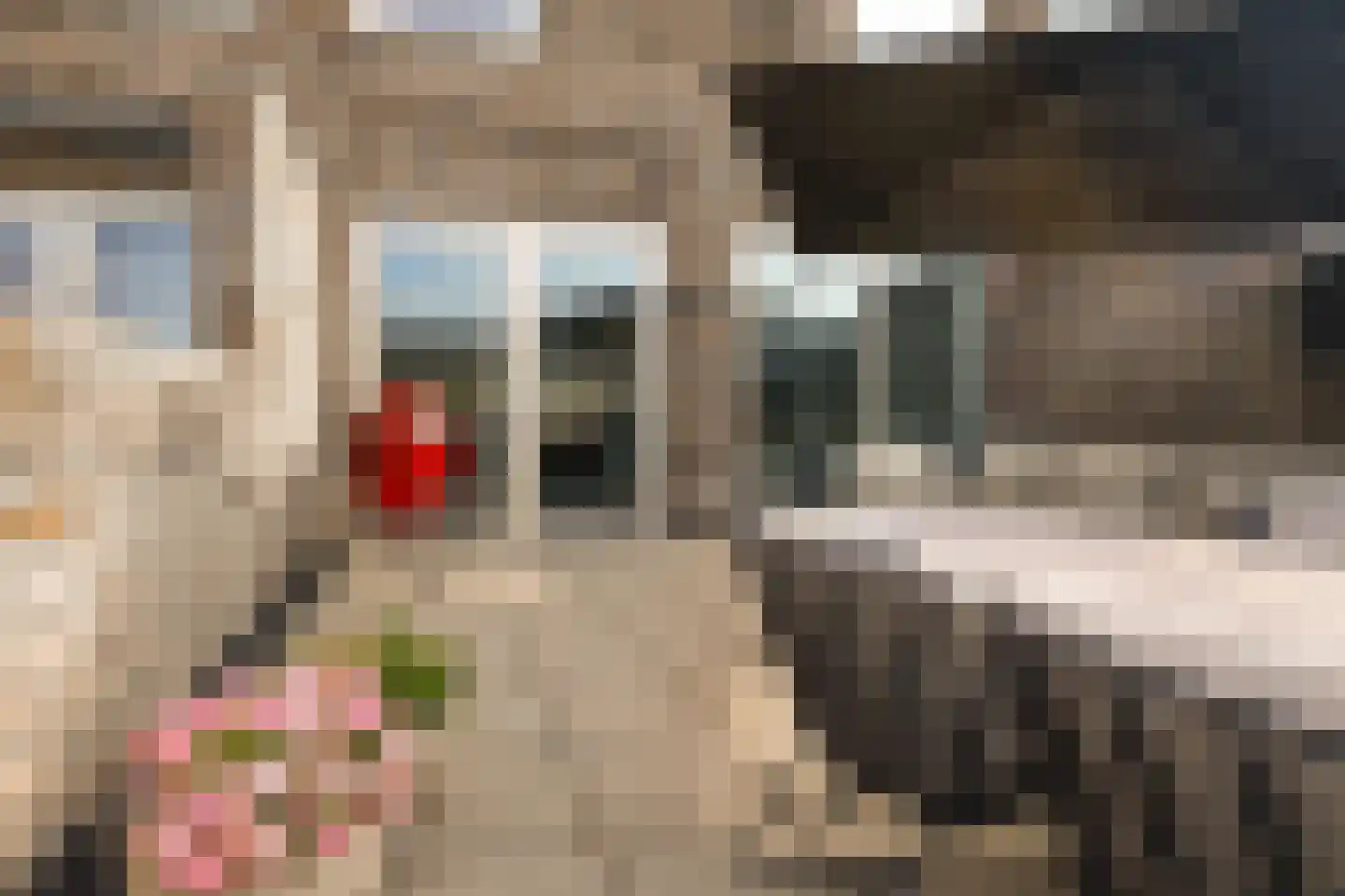 Winterkoning erf 66 Heerhugowaard thumbnail 5