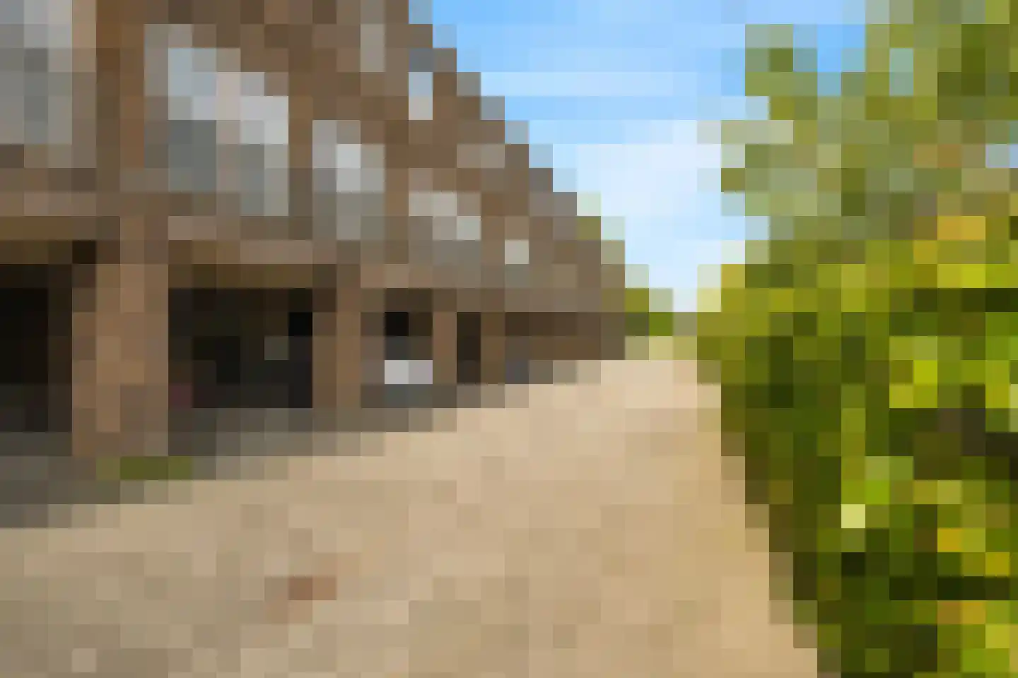 Winterkoning erf 66 Heerhugowaard thumbnail 7