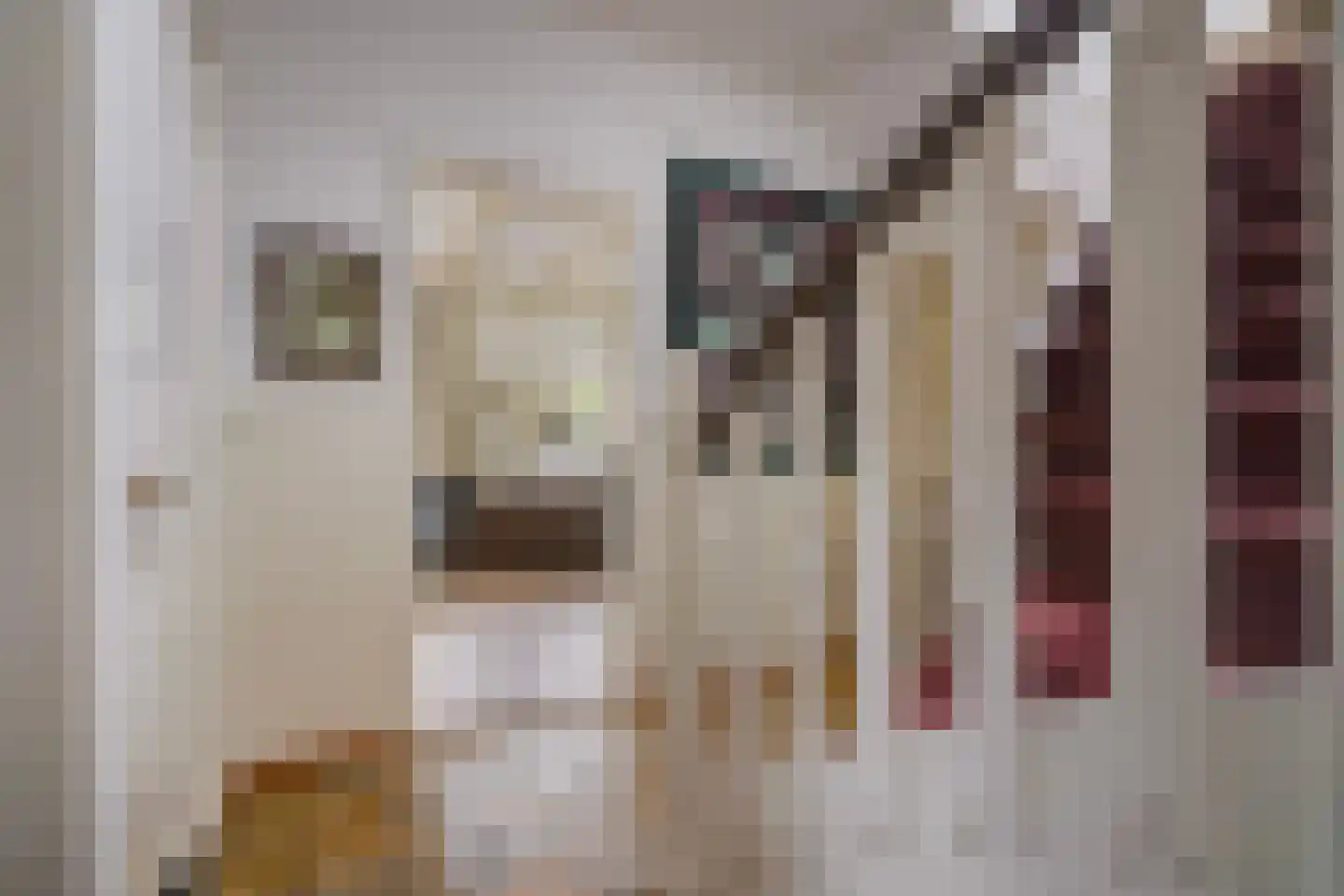 Winterkoninglaan 4 Den Haag thumbnail 8