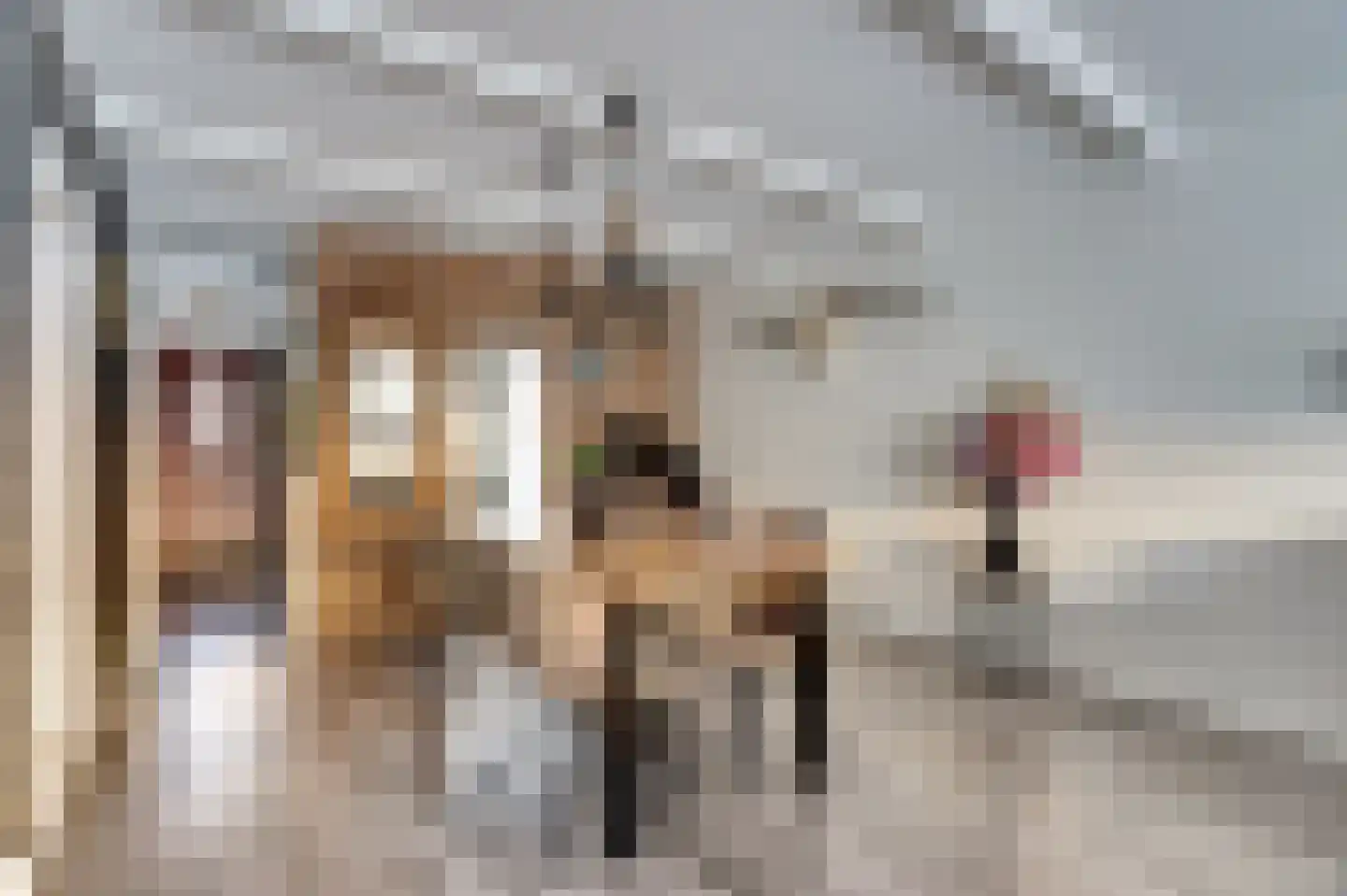 Winterkoningstraat 6 Rotterdam thumbnail 12