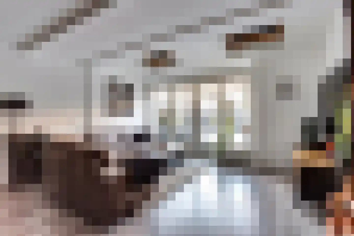 Winterkoningstraat 6 Rotterdam thumbnail 6