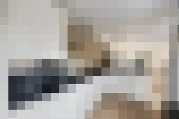 Winterkoninkje 9 Raalte thumbnail 10
