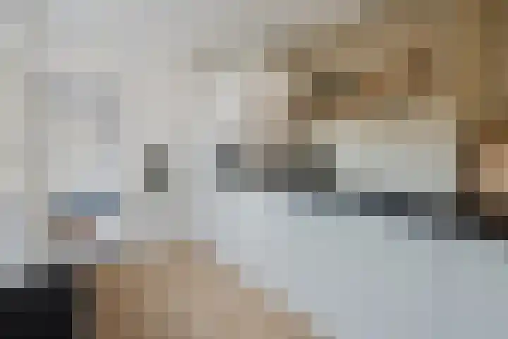 Winterkoninkje 9 Raalte thumbnail 11