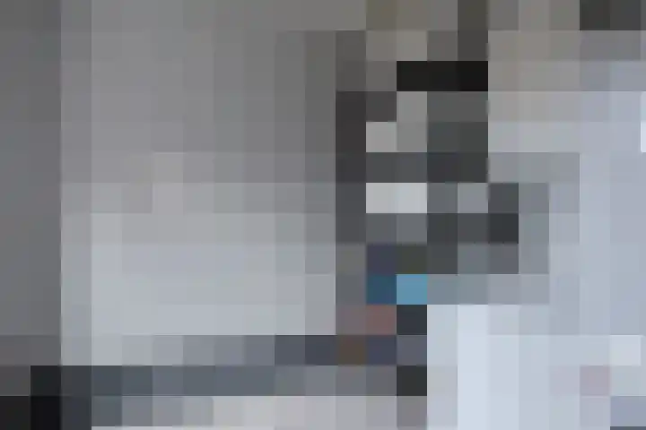 Winterkoninkje 9 Raalte thumbnail 12