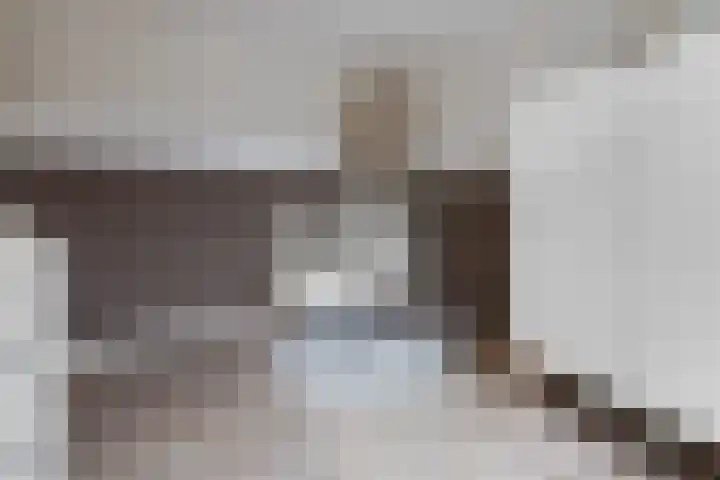 Winterkoninkje 9 Raalte thumbnail 15