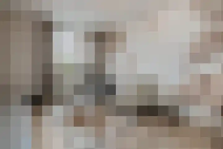 Winterkoninkje 9 Raalte thumbnail 16