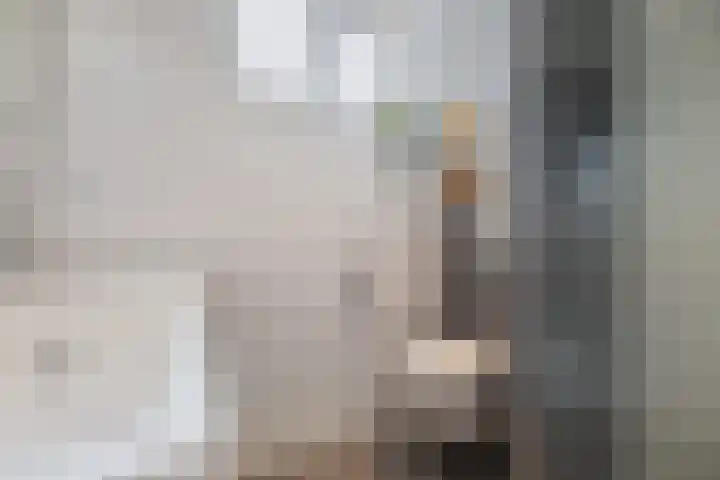 Winterkoninkje 9 Raalte thumbnail 18