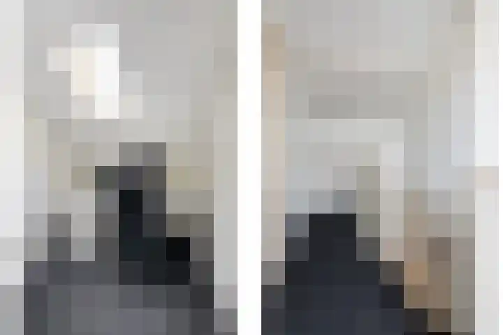 Winterkoninkje 9 Raalte thumbnail 20