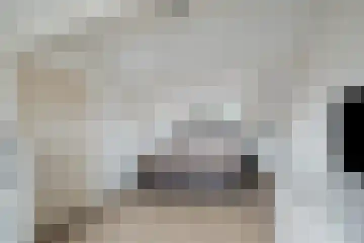 Winterkoninkje 9 Raalte thumbnail 21