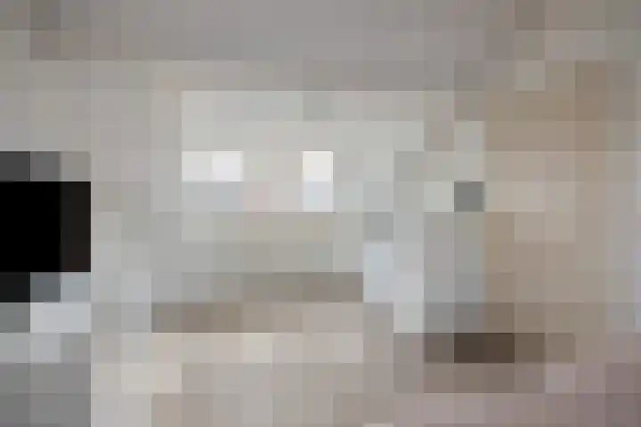 Winterkoninkje 9 Raalte thumbnail 22
