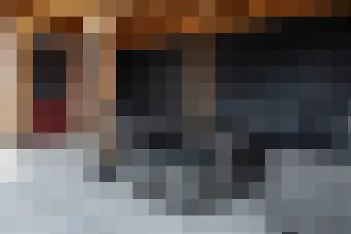 Winterkoninkje 9 Raalte thumbnail 24