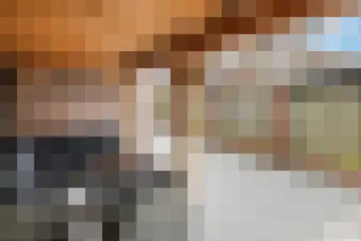 Winterkoninkje 9 Raalte thumbnail 25