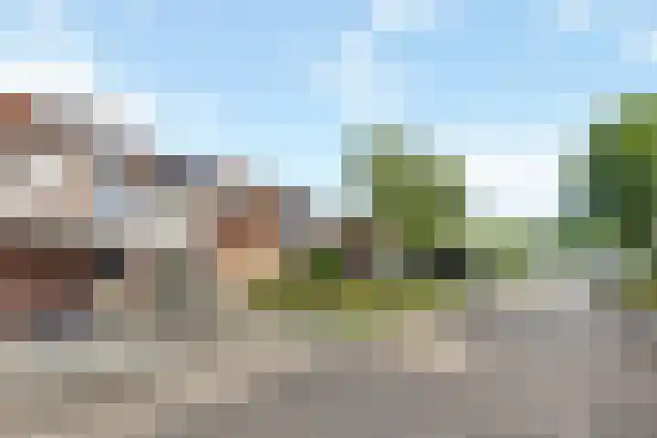 Winterkoninkje 9 Raalte thumbnail 29