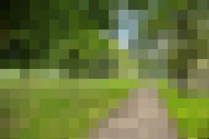 Winterkoninkje 9 Raalte thumbnail 30