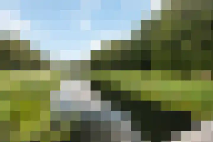 Winterkoninkje 9 Raalte thumbnail 31