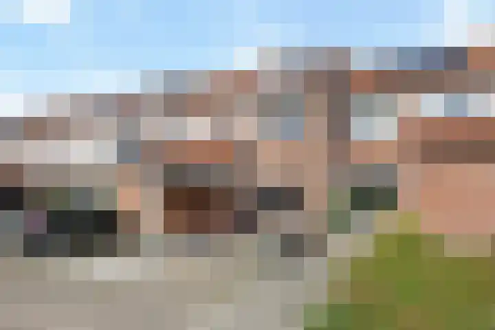 Winterkoninkje 9 Raalte thumbnail 35