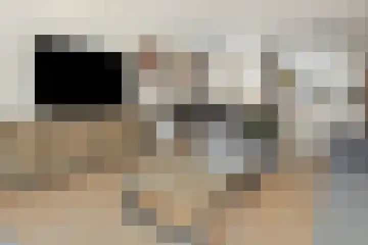 Winterkoninkje 9 Raalte thumbnail 7