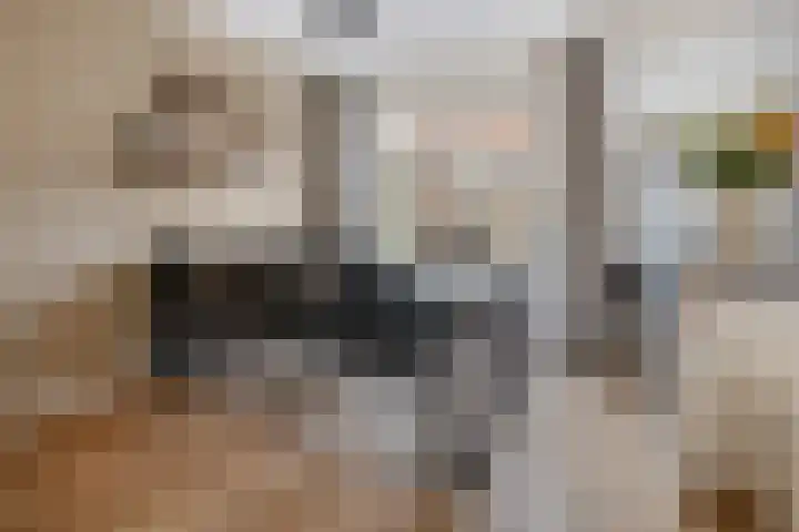 Winterkoninkje 9 Raalte thumbnail 8