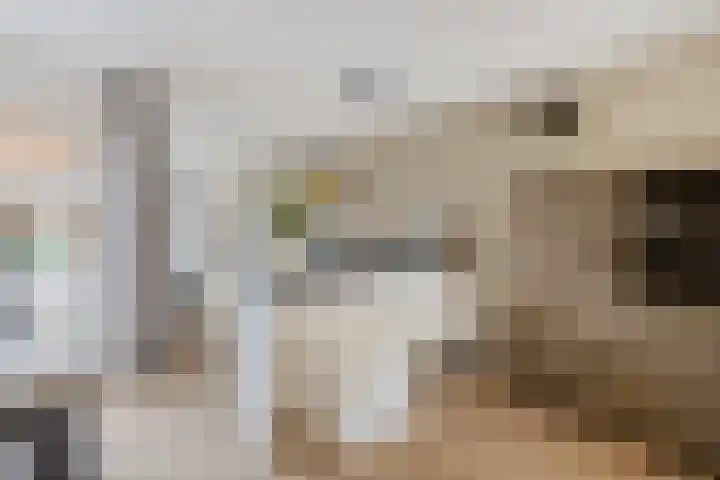 Winterkoninkje 9 Raalte thumbnail 9