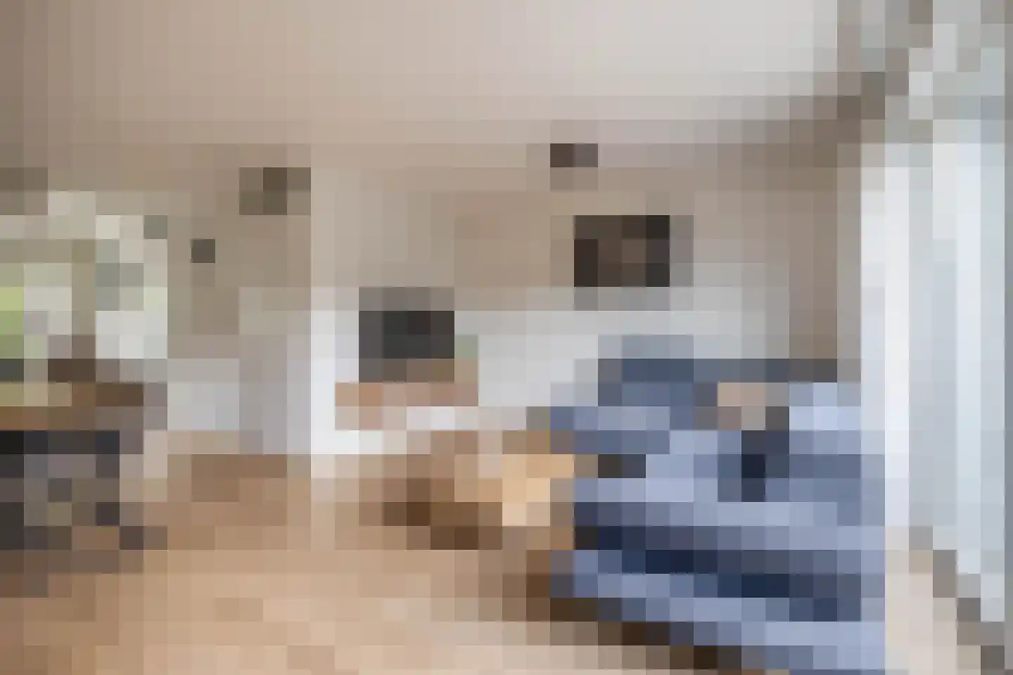 Wintermanshof 5 Duizel thumbnail 10