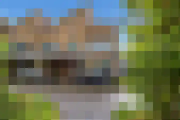 Winterpad 1 Delft thumbnail 6