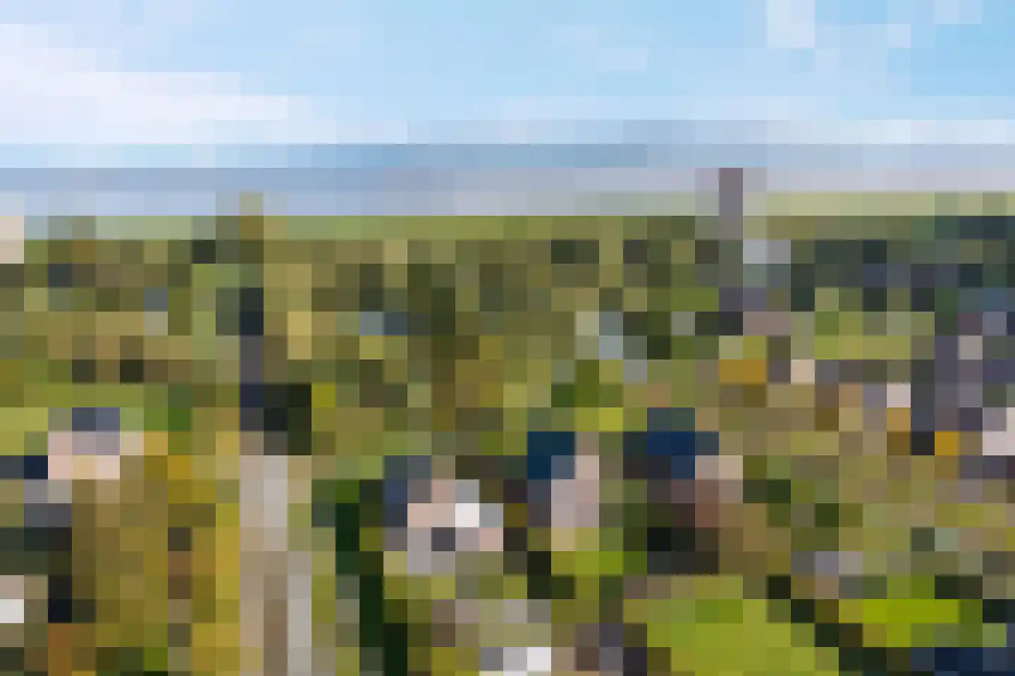 Winterpeil 1 Delfzijl thumbnail 10