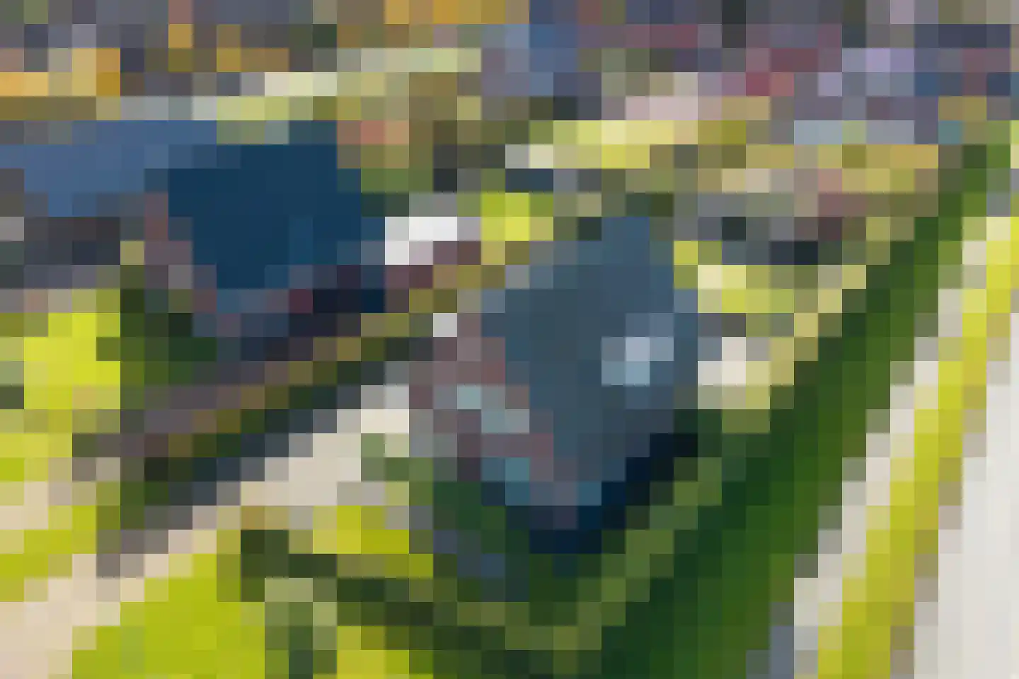 Winterpeil 1 Delfzijl thumbnail 13