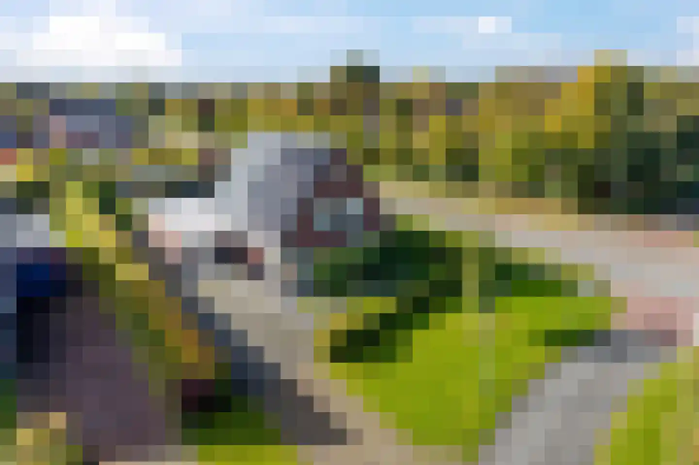 Winterpeil 1 Delfzijl thumbnail 14