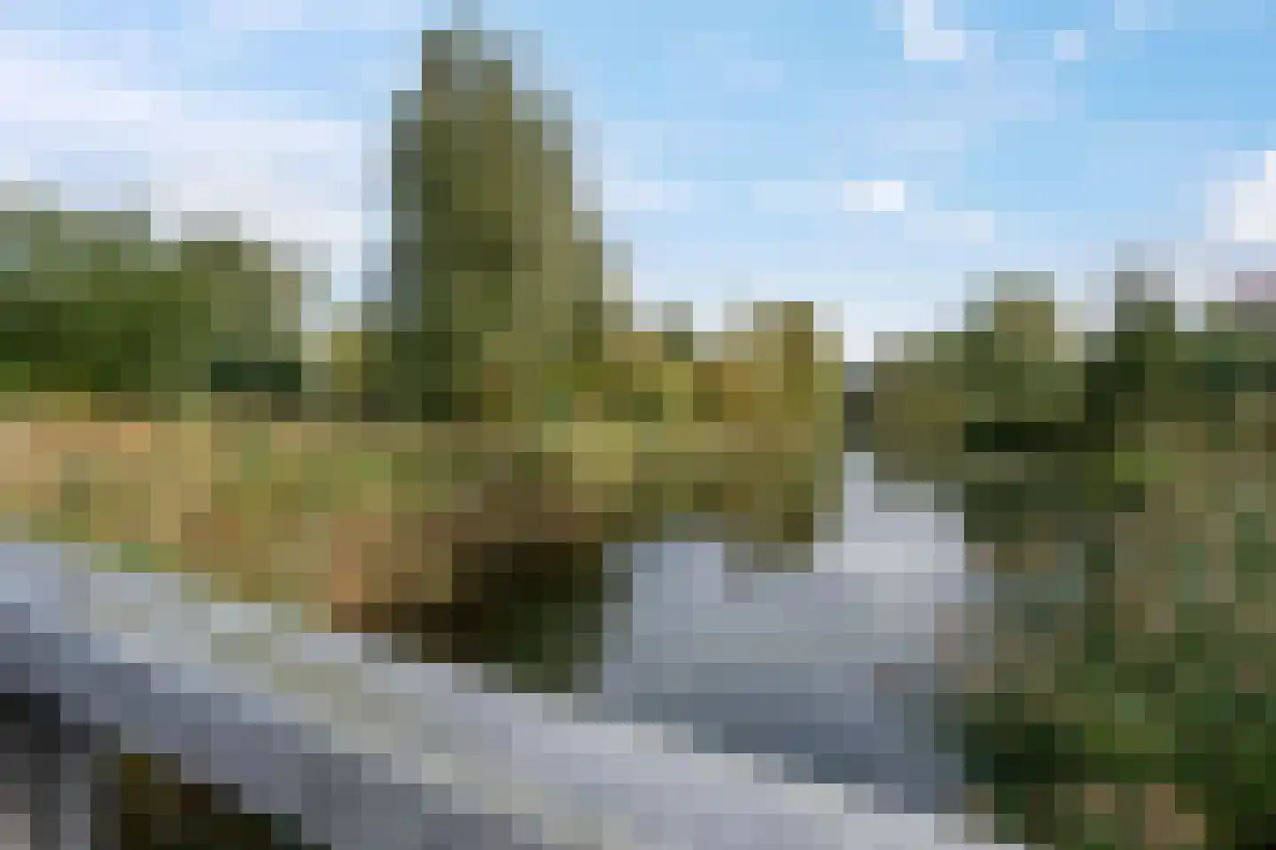 Winterpeil 1 Delfzijl thumbnail 15