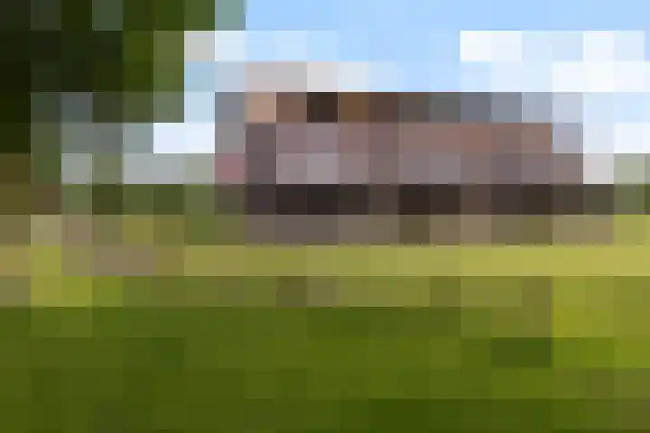 Winterpeil 12 Delfzijl thumbnail 32