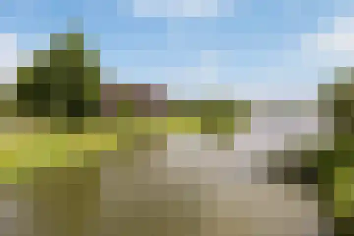 Winterpeil 12 Delfzijl thumbnail 35