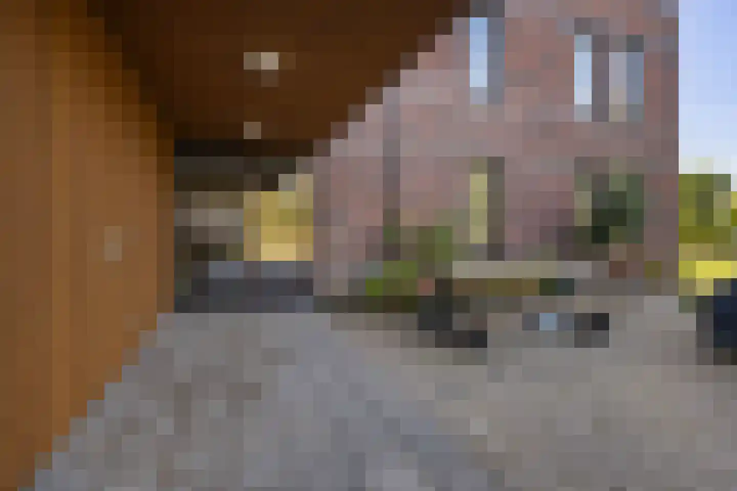 Winterpeil 22 Delfzijl thumbnail 12
