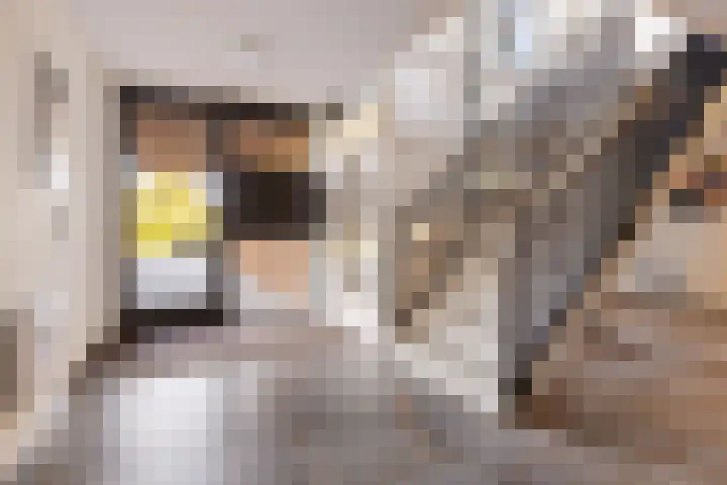 Winterpeil 22 Delfzijl thumbnail 13